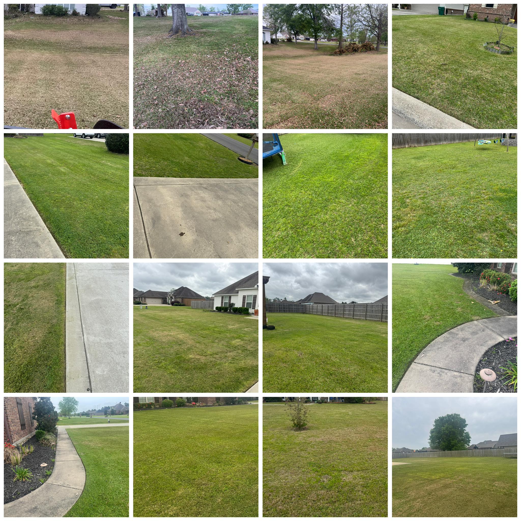 yard4