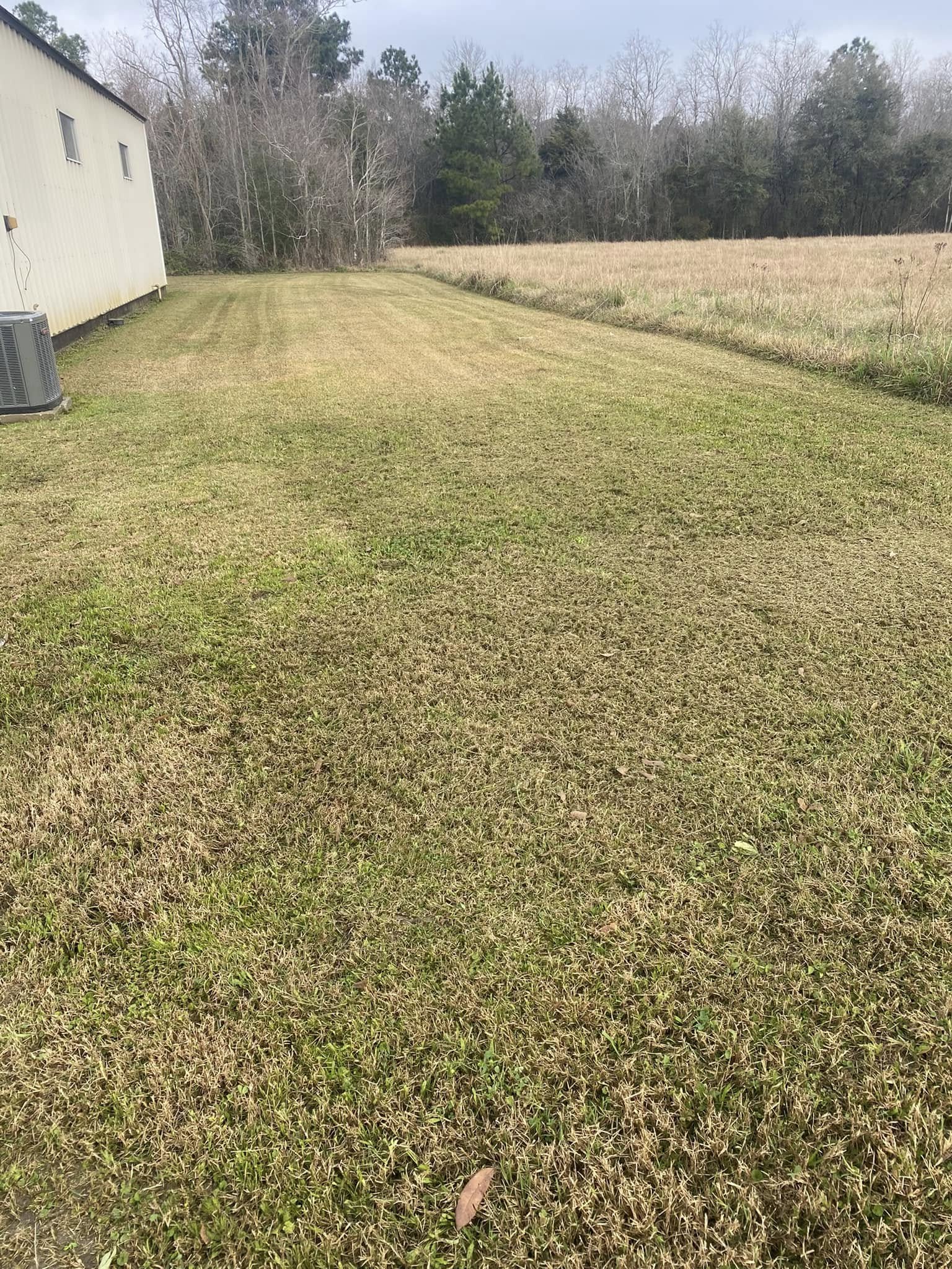 yard6