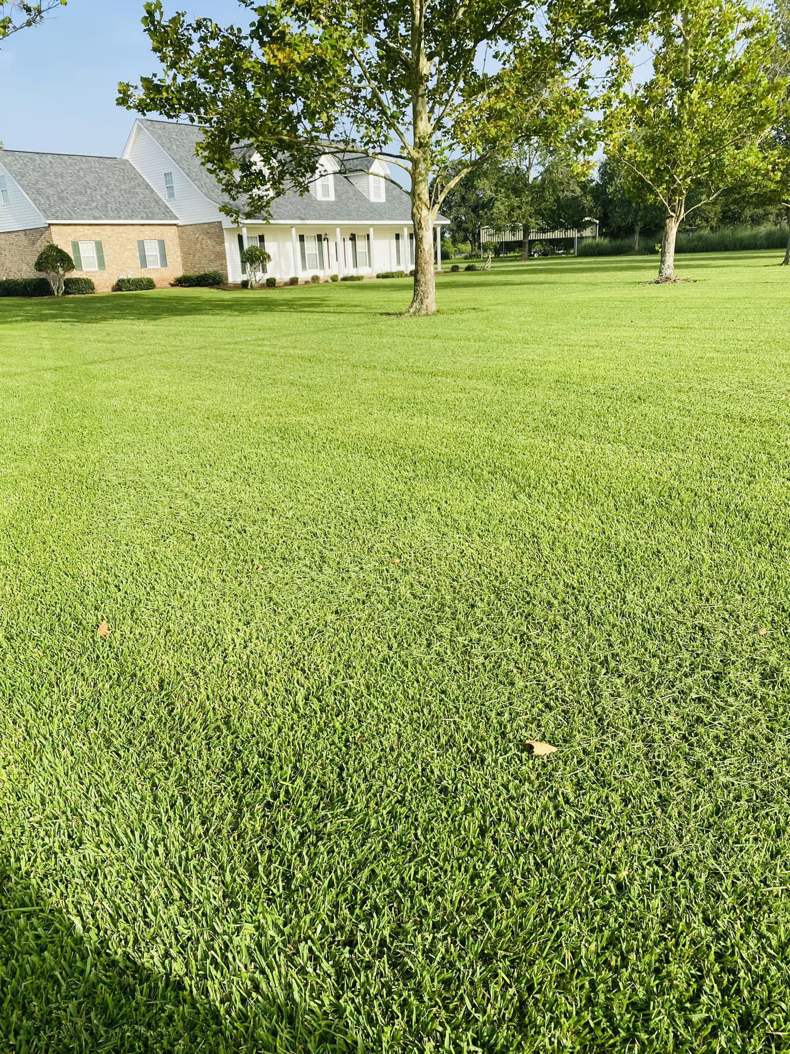 yard7