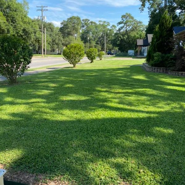 lawncutting
